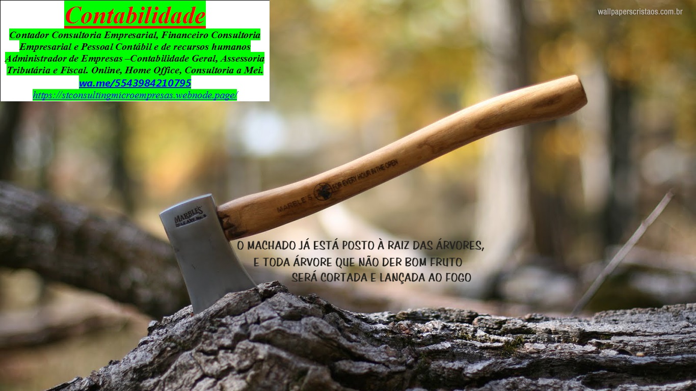 TEMA 08